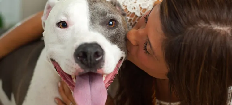 dogs banned in usa